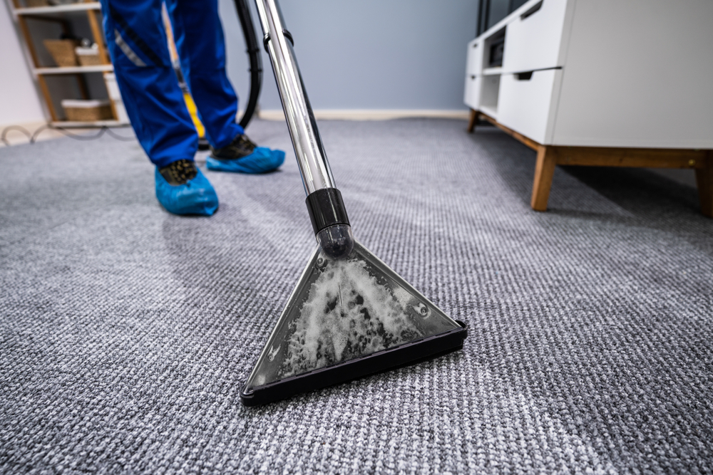 carpet cleaner