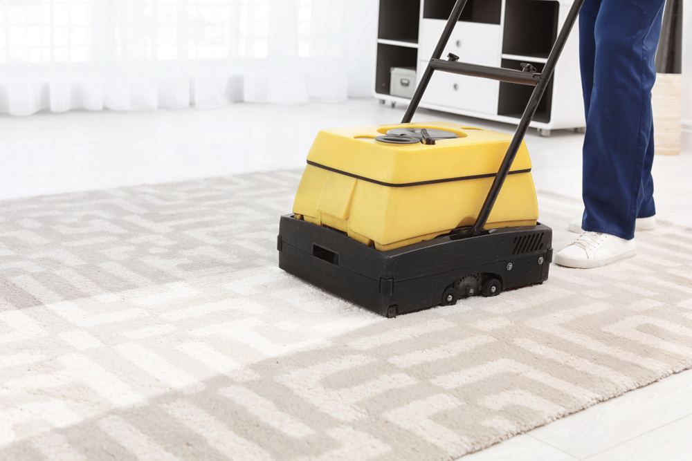 carpet cleaning
